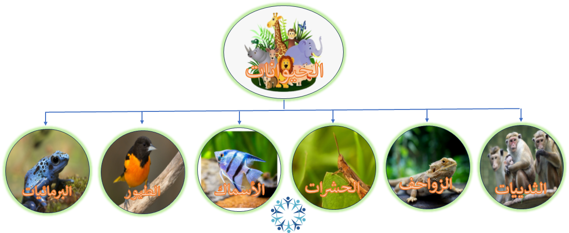 مجموعات الحيوانات